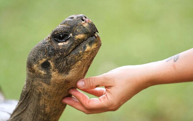 Auch Zoos haben ein Problem mit Überalterung