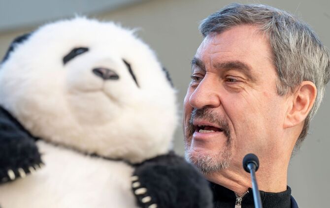 Panda-PK im Tierpark Hellabrunn