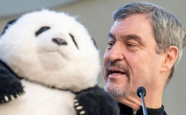 Panda-PK im Tierpark Hellabrunn