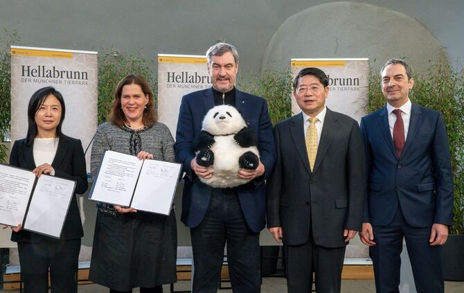 Panda-PK im Tierpark Hellabrunn