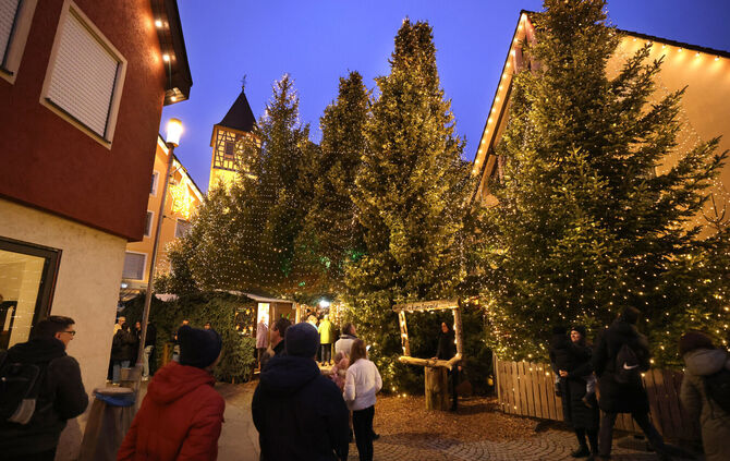 Adventswald Rudersberg Wohin soll Rudersberg steuern? Fraktionen im Gemeinderat nehmen ...