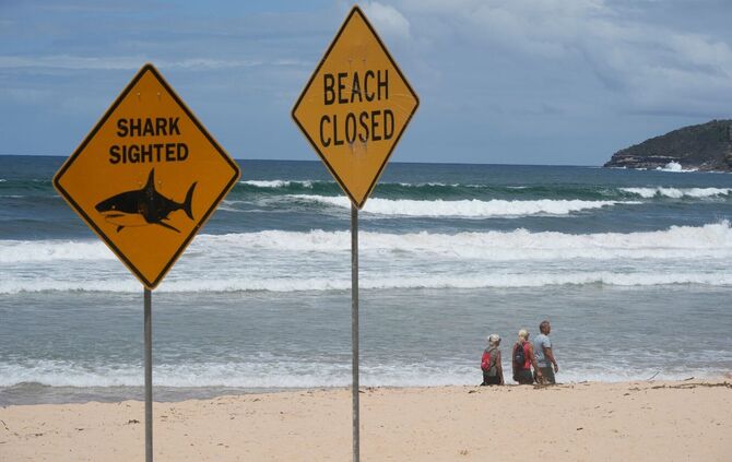 Innerhalb von nur wenigen Tagen wurden aus dem australischen Bundesstaat New South Wales vier Haiangriffe gemeldet. (Symbolbild)