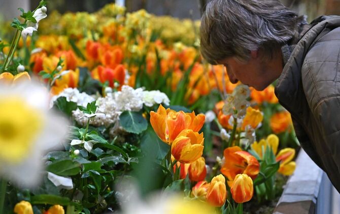 90. Internationale Grüne Woche