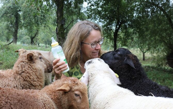 Schäferin Kappeller