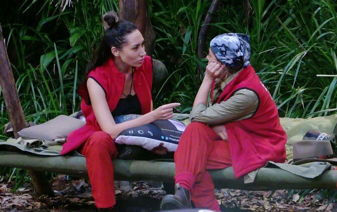 Ich bin ein Star - Holt mich hier raus! - Tag 3