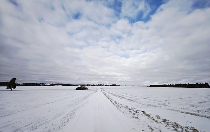 Es wird eisiger in Welzheim dank klammer Finanzlage, aber noch ist Sonne in Sicht - wohin der Weg der Stadt führen soll, sagen d