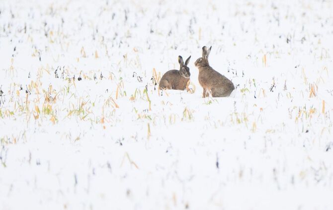Winterwetter in Niedersachsen