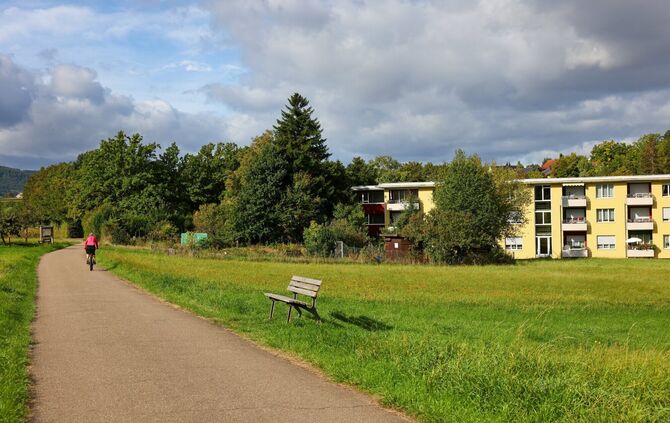 Seit vielen Monaten kämpfen Anwohner gegen den geplanten 34 Meter hohen Mobilfunkmast auf einem Privatgrundstück in der Auberlen