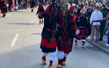 Eine Übersicht über die Fasnetsumzüge in und um Stuttgart.