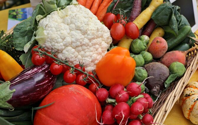 Salatgurken sind wieder teurer geworden – so aber auch Zucchini und Paprika (Symbolfoto).