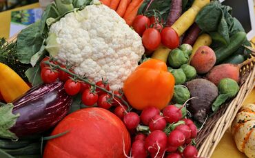 Salatgurken sind wieder teurer geworden – so aber auch Zucchini und Paprika (Symbolfoto).