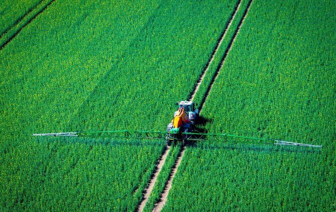 Pflanzenschutz auf Rapsfeld