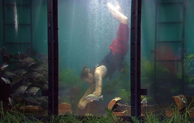 Ich bin ein Star - Holt mich hier raus! - Tag 10