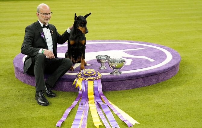 Hundeausstellung Westminster Kennel Club Dog Show in USA