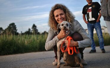 20180614_SDMG_18662_Tier_in_Not_Schwaikheim_8_0