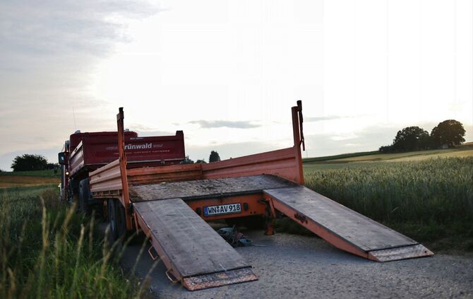 20180614_SDMG_18662_Tier_in_Not_Schwaikheim_6_13