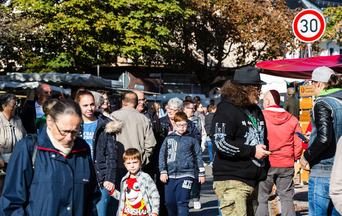 Kirbe bei bestem Wetter - Bild 11_1