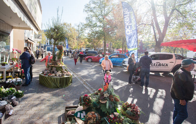 Kirbe bei bestem Wetter - Bild 19_19