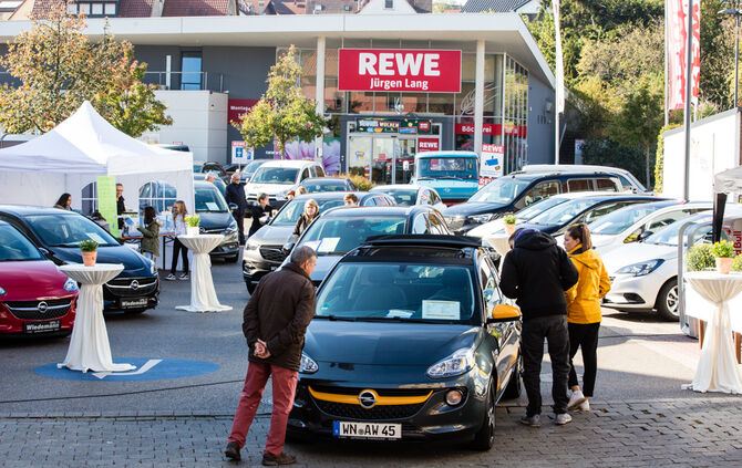 Kirbe bei bestem Wetter - Bild 20_20