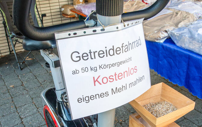 Kirbe bei bestem Wetter - Bild 28_28