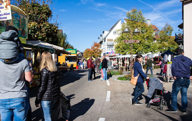 Kirbe bei bestem Wetter - Bild 34_33