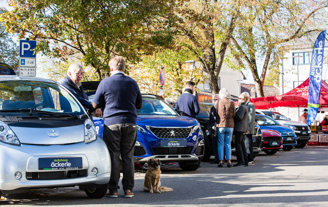 Kirbe bei bestem Wetter - Bild 45_44