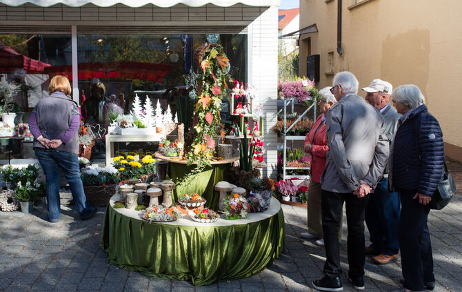 Kirbe bei bestem Wetter - Bild 46_45