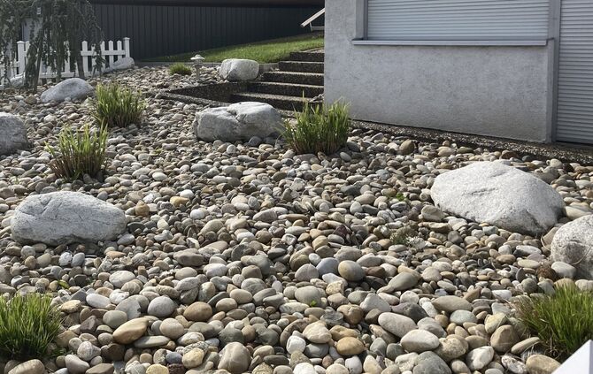 Ein Schottergarten (Symbolfoto).