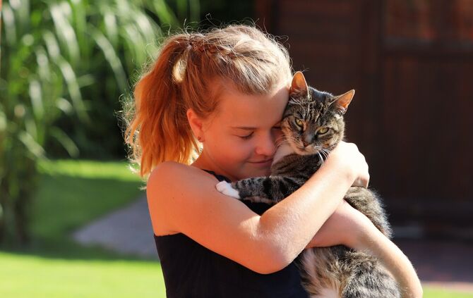 Katzen eignen sich gut als Haustier für Kinder. (Symbolbild)