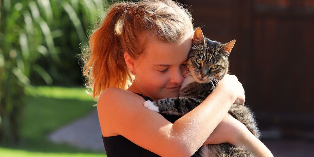 Katzen eignen sich gut als Haustier für Kinder. (Symbolbild)