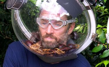 Ich bin ein Star - Holt mich hier raus! -Tag 17