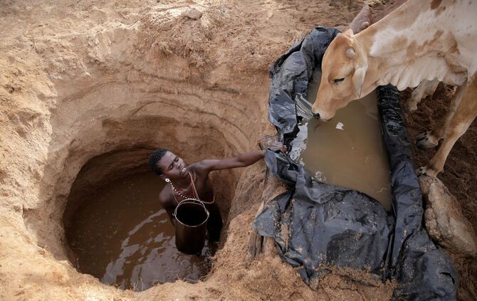 Klimawandel könnte Weideflächen verknappen