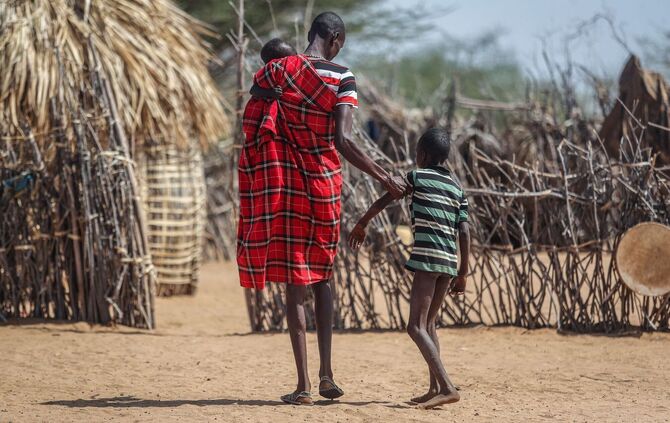 Klimawandel könnte Weideflächen verknappen