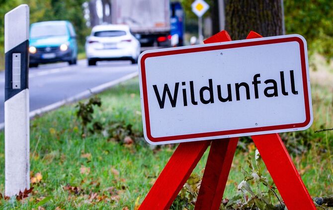 Kurz nach dem Zusammenstoß mit den Tieren kam es zu einem weiteren Unfall. (Symbolbild)