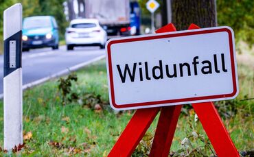 Kurz nach dem Zusammenstoß mit den Tieren kam es zu einem weiteren Unfall. (Symbolbild)