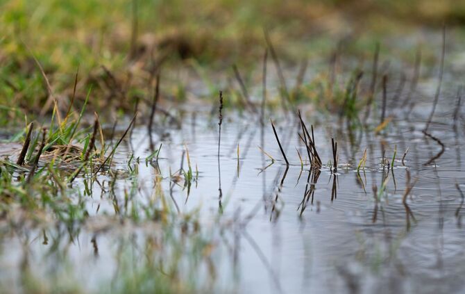 Regenwetter in Baden-Württemberg