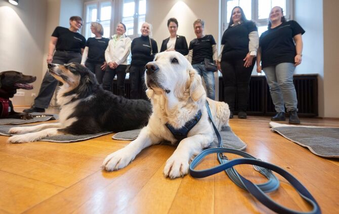 Vernehmungs-Begleithunde-Team