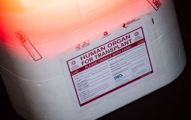 Illustration - Organspende