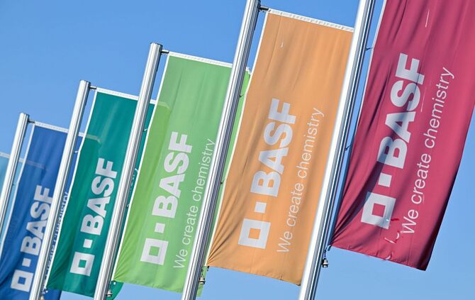 BASF-Flaggen