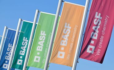 BASF-Flaggen