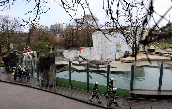 Feuerwehr hilft Eisbären im Zoo