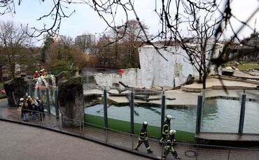 Feuerwehr hilft Eisbären im Zoo