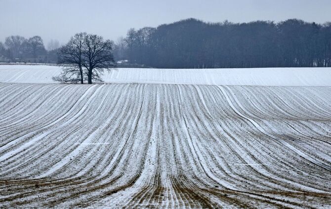 Schnee bis in die Niederungen ist am Samstag für die Mitte und den Süden vorhergesagt.