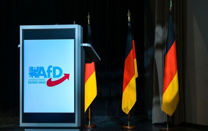 AfD Sachsen-Anhalt