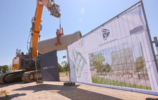 Eine der größten investitionen in Kernen: die Hangweide.