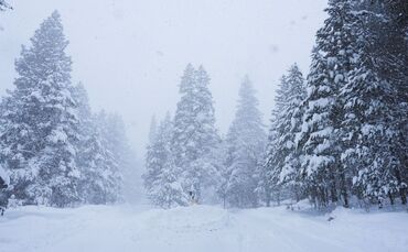 Schnee in Kalifornien
