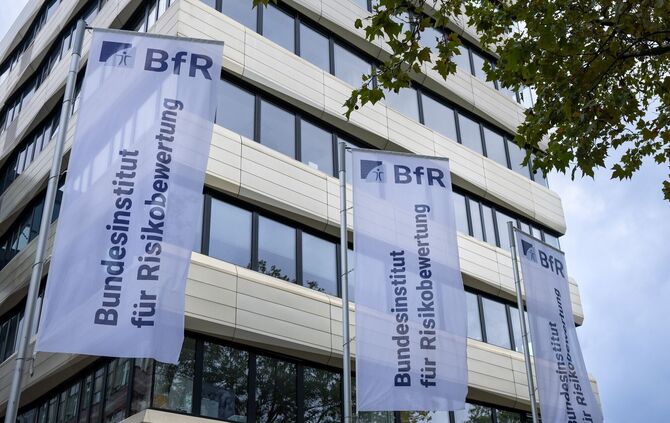 Das BfR sieht bei bestimmten Mandeldrinks ein mögliches Gesundheitsrisiko für Kinder. (Symbolbild)