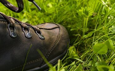 Am Vatertag mal wirklich wandern, nicht nur tüchtig trinken?