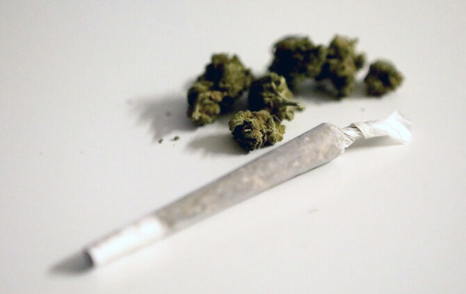 Marihuana. (Symbolfoto)