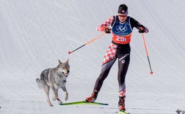 Olympische Winterspiele 2026